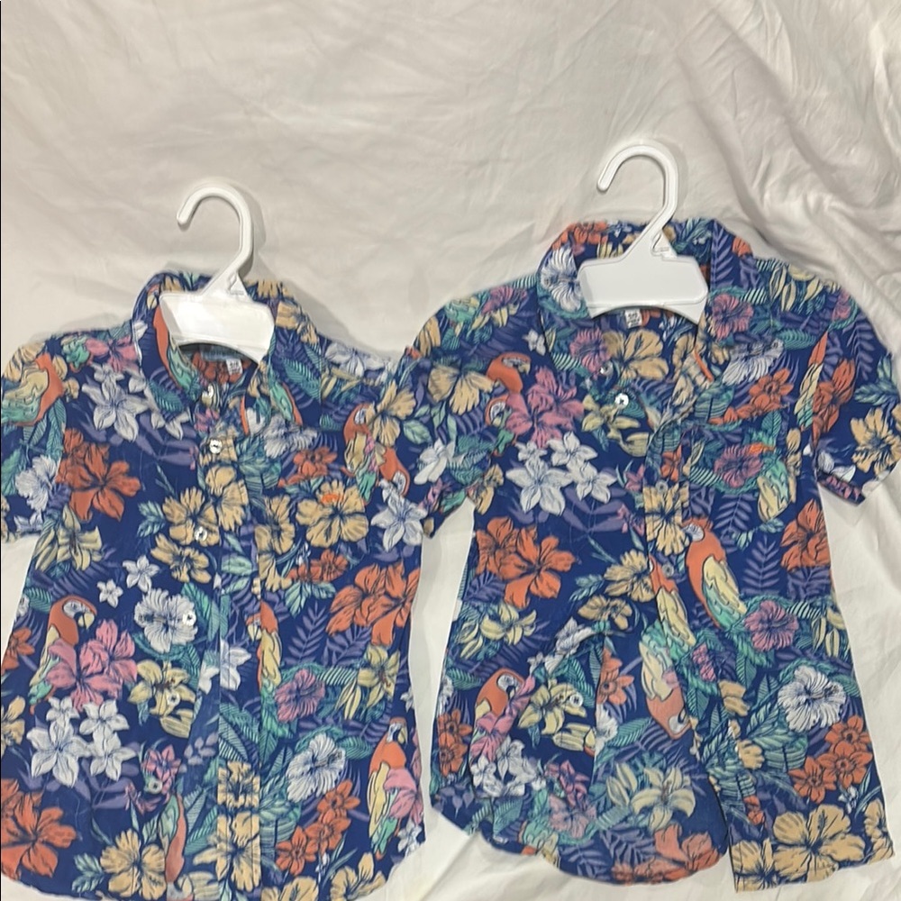 Tropical  Button Down Tommy Bahama SET OF 2